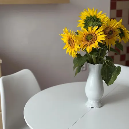 Apartman U Berusky Znojmo